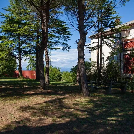 Trobenta In Oblak * بورتوروز