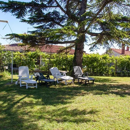 Trobenta In Oblak * Portoroz