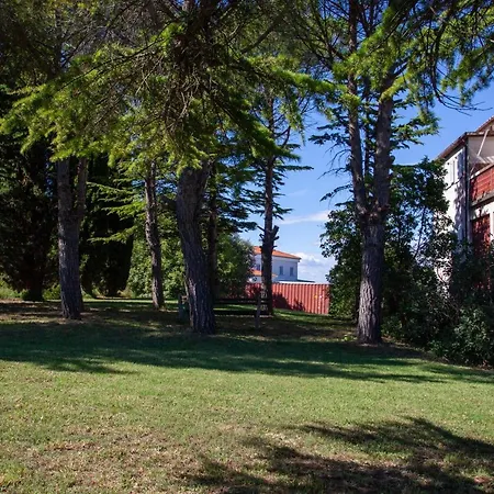 Trobenta In Oblak * Portoroz