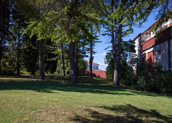 Trobenta In Oblak * Portorož